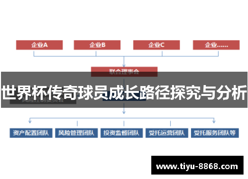 世界杯传奇球员成长路径探究与分析