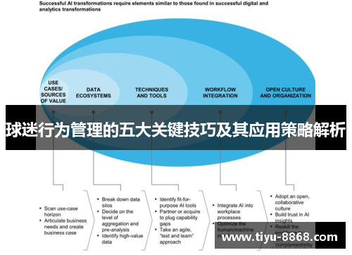 球迷行为管理的五大关键技巧及其应用策略解析