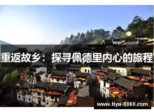 重返故乡：探寻佩德里内心的旅程